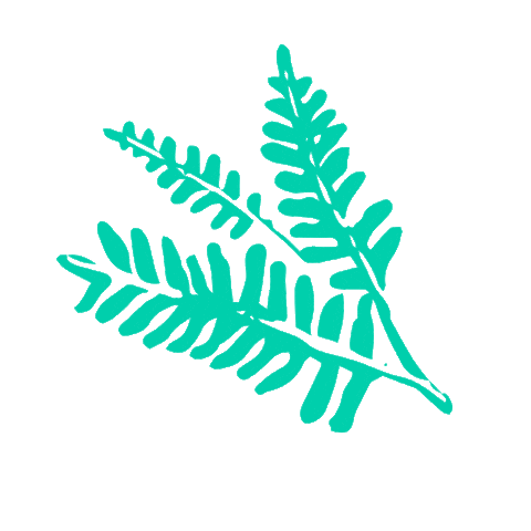 Mono Misiones Sticker