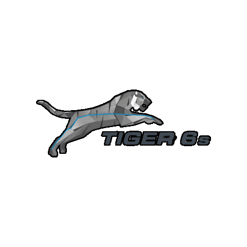 Tiger Panther Sticker by ROPA