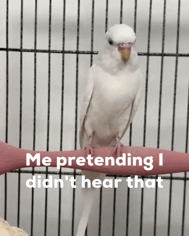 Awkward Side Eye GIF