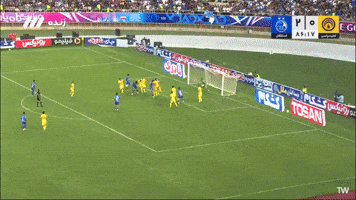 Afc Taj GIF