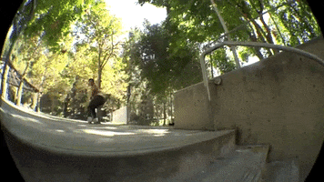 Bolino GIF