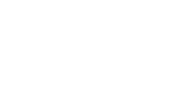 English School Ireland Sticker by Cork English College