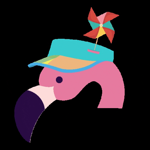 Colégio dos Arcos GIF