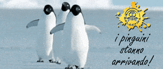 Ice Penguin GIF by Smo-King