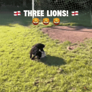 Lets Go Football GIF
