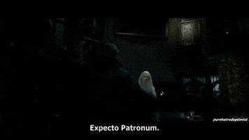 always harry potter GIF