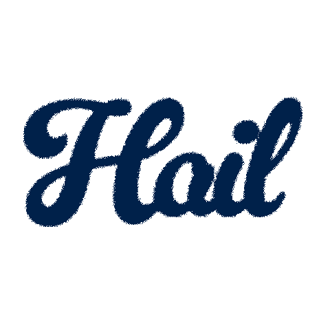 Sticker by Michigan Athletics