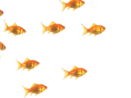 Animated Sticker