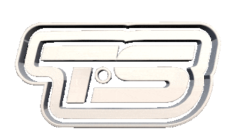 Race Ts Sticker by tssports