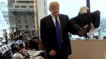 bald eagle thumbs up GIF by NowThis 
