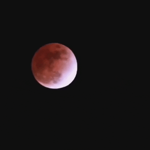 Blood Moon GIF by Storyful