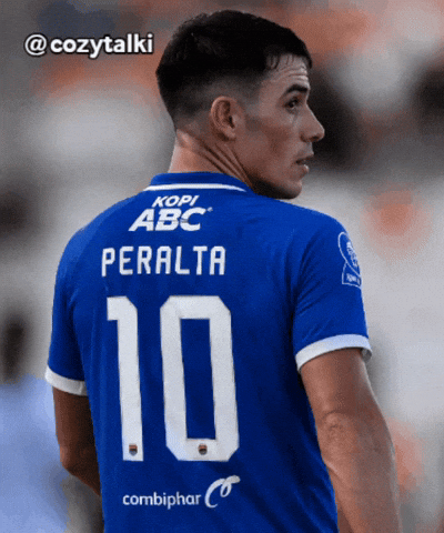 Persib Bandung GIF