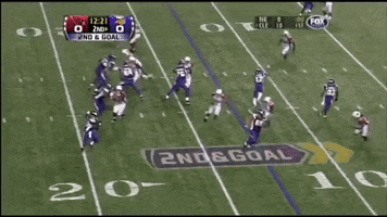 wendellferreira-25b6 football adrian peterson GIF
