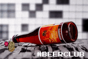 Craft Speciaalbier GIF by Beer in a Box