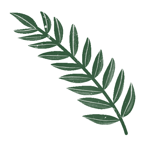 Plant Sticker