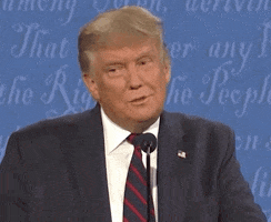 Donald Trump Lol GIF by Election 2020