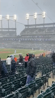Detroit Tigers Smile GIF by MLB - Find & Share on GIPHY