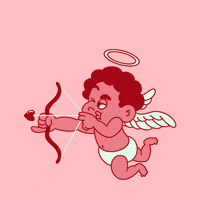 stupid cupid