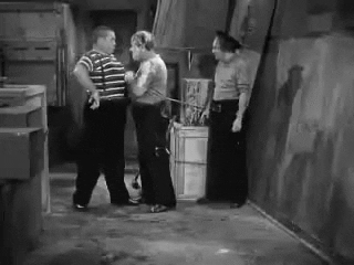 front stooges GIF
