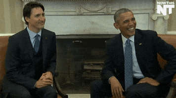laugh lol GIF by NowThis 