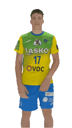 Handball Move Sticker by RK CELJE