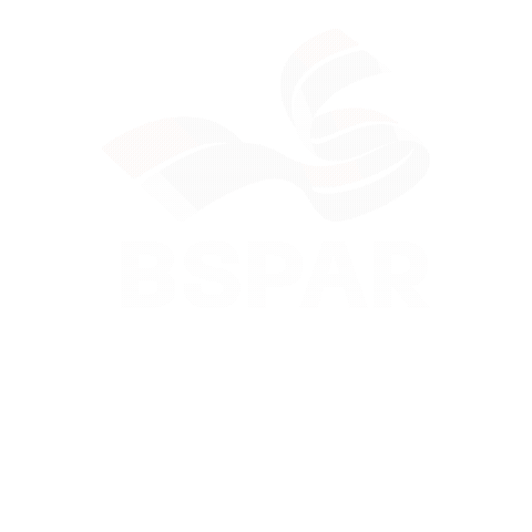 Sticker by BSPAR