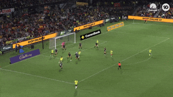 Hayley Raso Goal GIF by Football Australia