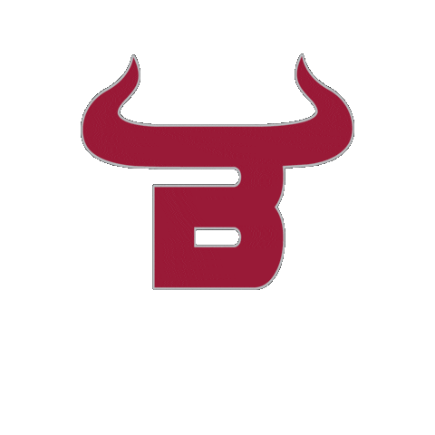 THE BALDWIN SCHOOL OF PR Sticker