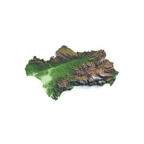 Andalucismo Sticker