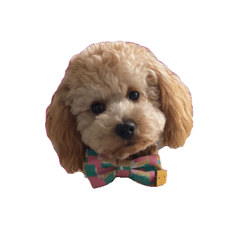 Feel Good Club Sticker