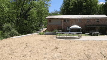 Brick House Trampoline GIF by JC Property Professionals