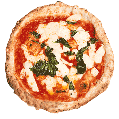 Pizza Napoletana - Associazione Verace Pizza Napoletana Sticker