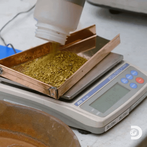Todd Hoffman Gold GIF by Discovery