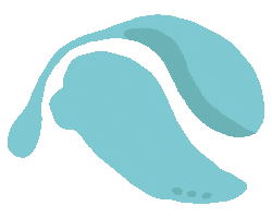 Sex Ed Self Love Sticker by meibi.mx