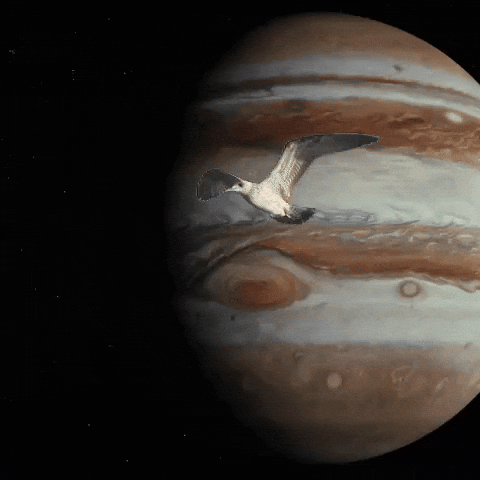 Space Good Luck GIF