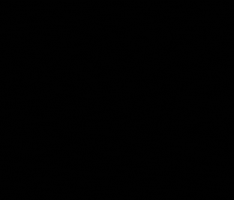 CICLI PUZONE SRL GIF