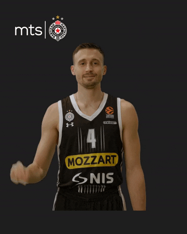 Partizan GIF by sportmts