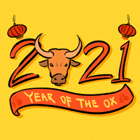 New Year Ox GIF by INTO ACTION