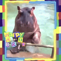 Celebrate Happy Birthday GIF by The3Flamingos