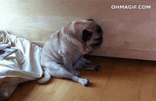 tired good night GIF