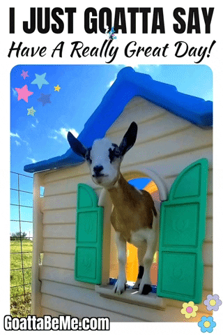 Good Day Pets GIF by Goatta Be Me Goats! Adventures of Java, Toffee, Pumpkin and Cookie!!