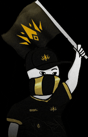 Flag Esports GIF by feritkarakayawtcn