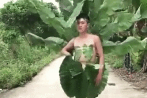 giphy.gif?cid=5e21488638f27560d451b8dd70