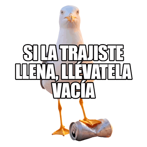 Proyectolibera Sticker by ecoembes