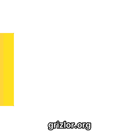 Happy Bear Sticker by grizlor