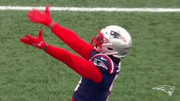 Football Wipe GIF by New England Patriots