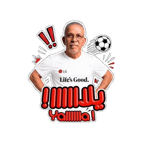 LG Electronics Gulf Sticker