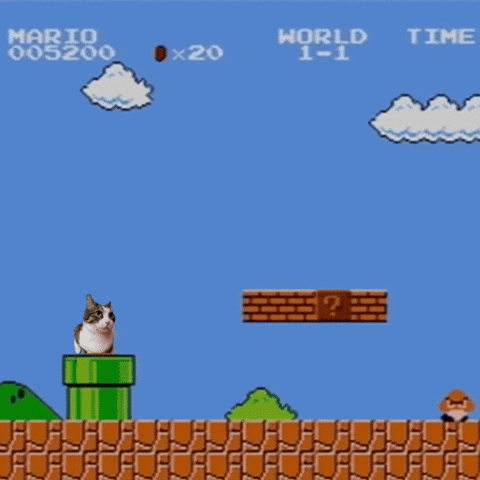 Super Mario Funny Cat GIF by Furrend