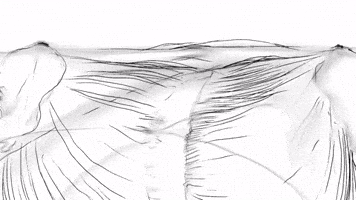 Animation Hair GIF by Çağıl Harmandar