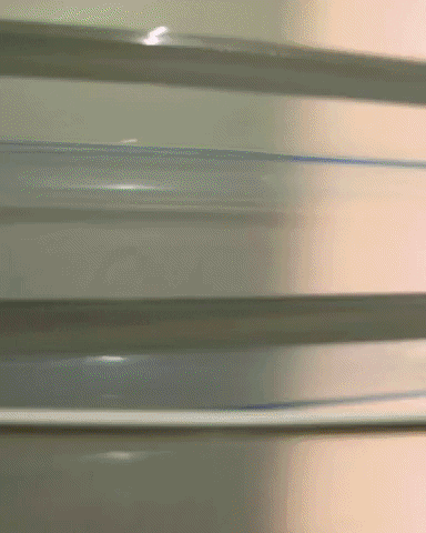 GIF by Hey Honey